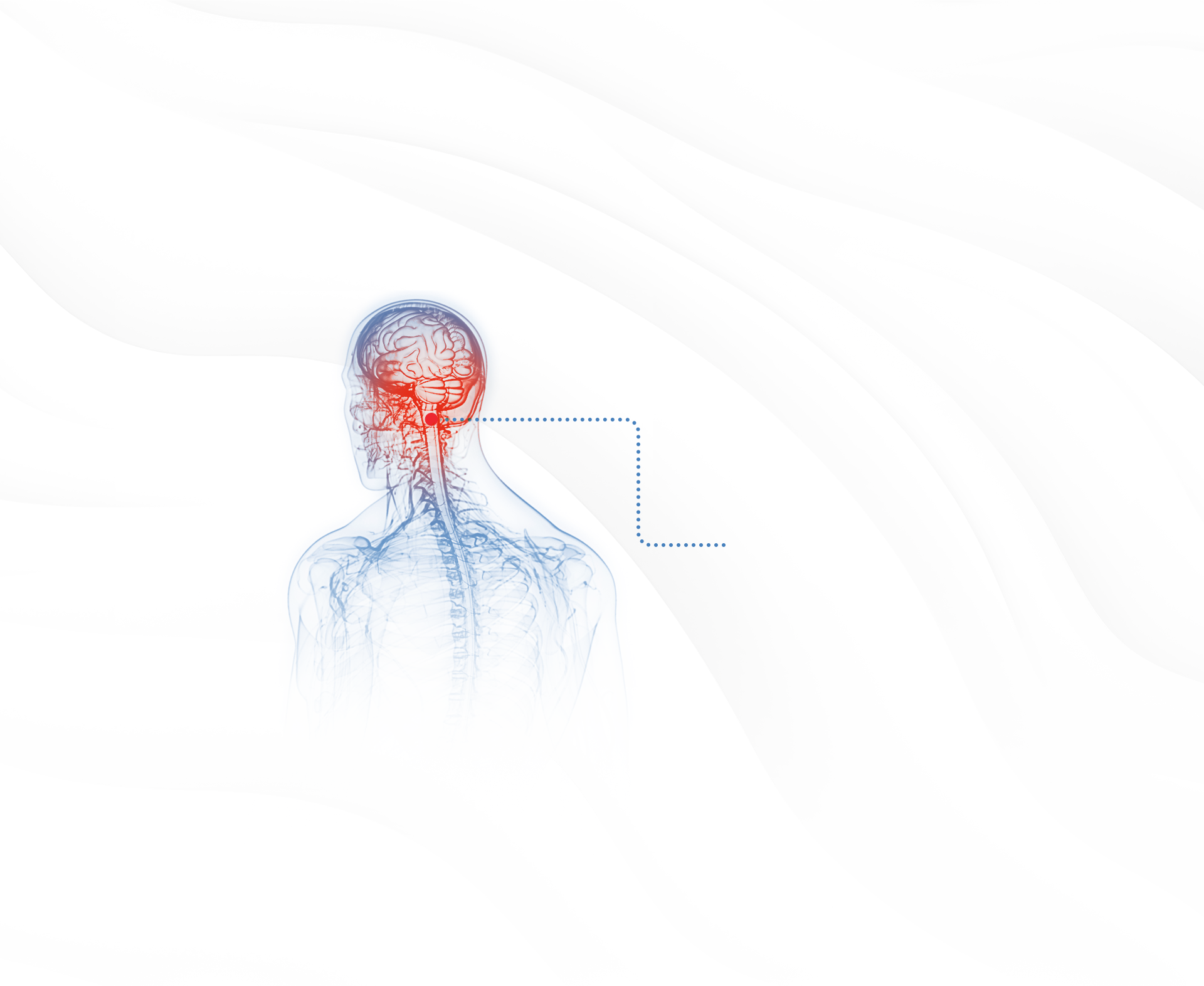 Peamid - Suplemento Alimentar