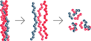 Evolução dos peptídeos - processo de quebra em nanopartículas