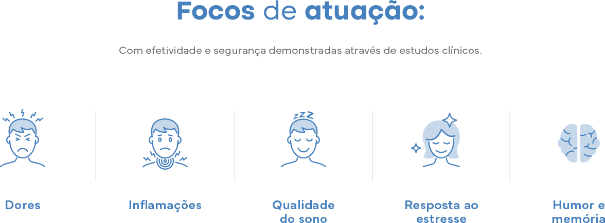 Peamid - Suplemento Alimentar